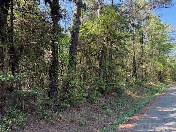 5.13 Acres of Residential Land for Sale in Broaddus, Texas