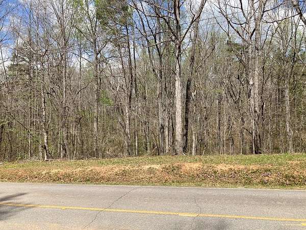 27 Acres of Recreational & Residential Land for Sale in Carrollton, Georgia