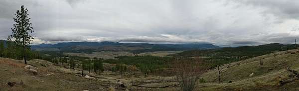 70 Acres of Land for Sale in Colville, Washington