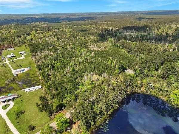 17.4 Acres of Land for Sale in Independence, Louisiana
