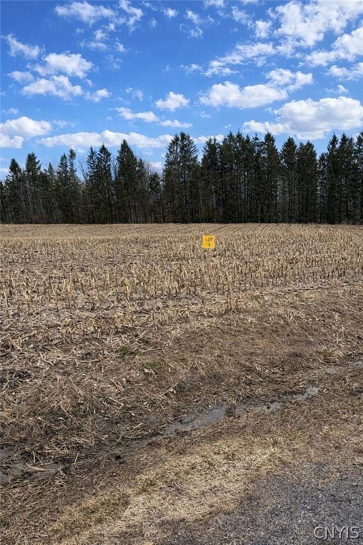 5 Acres of Residential Land for Sale in Richfield Springs, New York