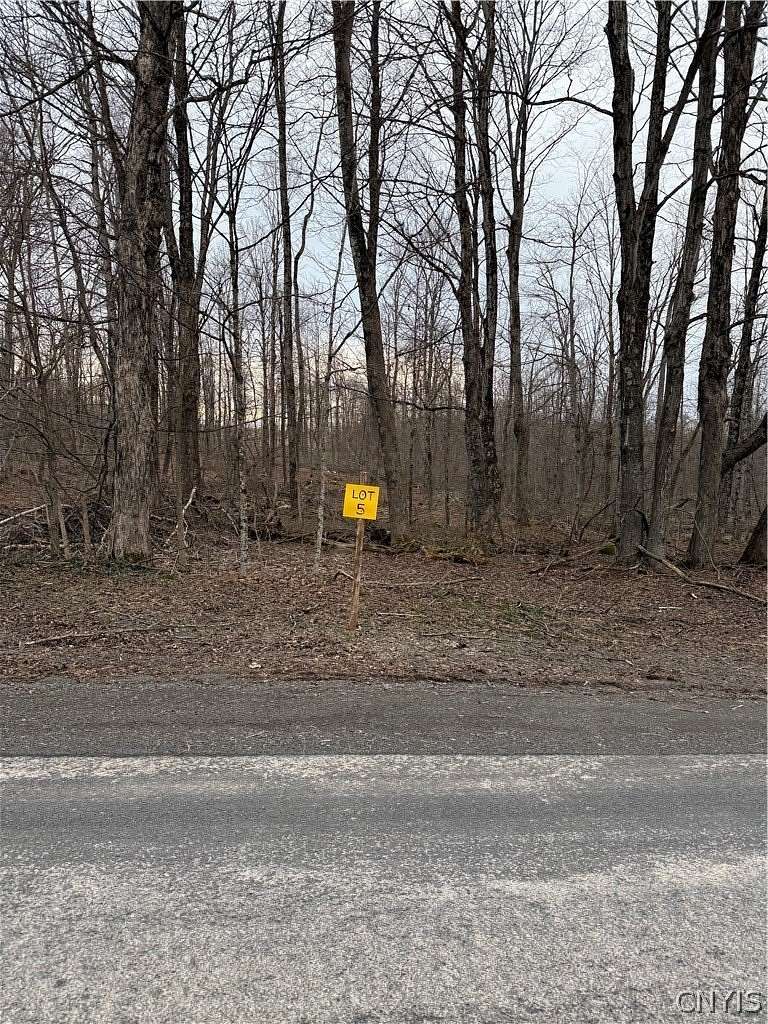 16.7 Acres of Recreational & Residential Land for Sale in Richfield Springs, New York