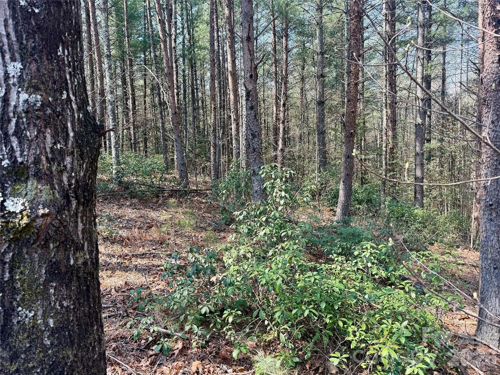 4.24 Acres of Residential Land for Sale in Nebo, North Carolina