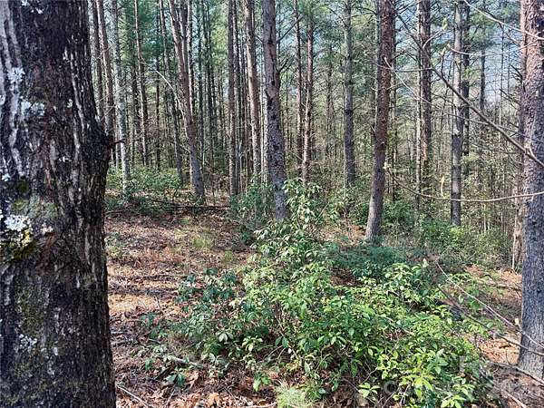 4.24 Acres of Residential Land for Sale in Nebo, North Carolina