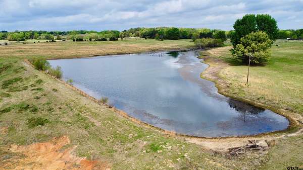 64.6 Acres of Agricultural Land for Sale in Cookville, Texas