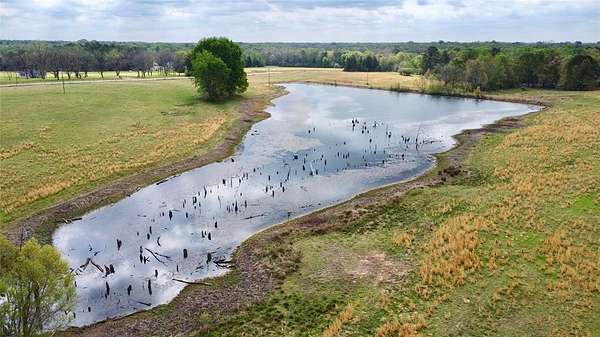 64.6 Acres of Agricultural Land for Sale in Cookville, Texas