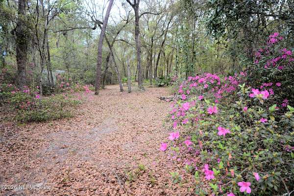 0.8 Acres of Residential Land for Sale in Florahome, Florida