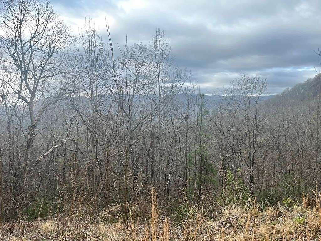 3 Acres of Residential Land for Sale in Hiawassee, Georgia