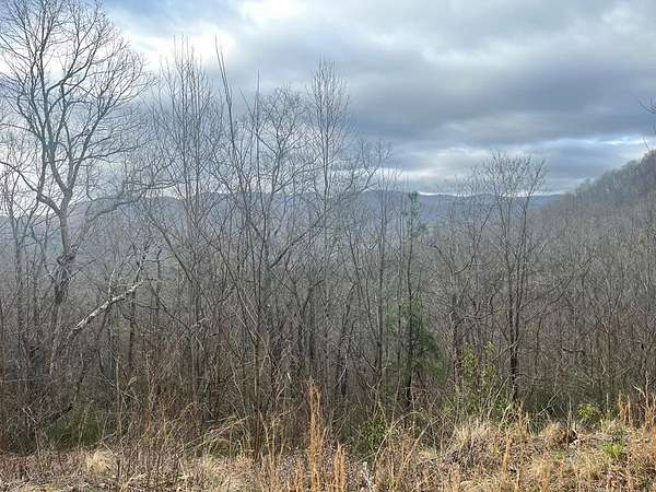 3 Acres of Residential Land for Sale in Hiawassee, Georgia