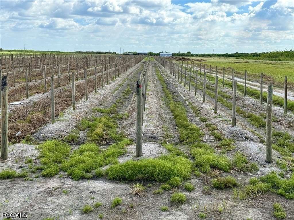 13.3 Acres of Land for Sale in LaBelle, Florida