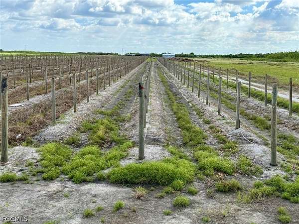 13.3 Acres of Land for Sale in LaBelle, Florida