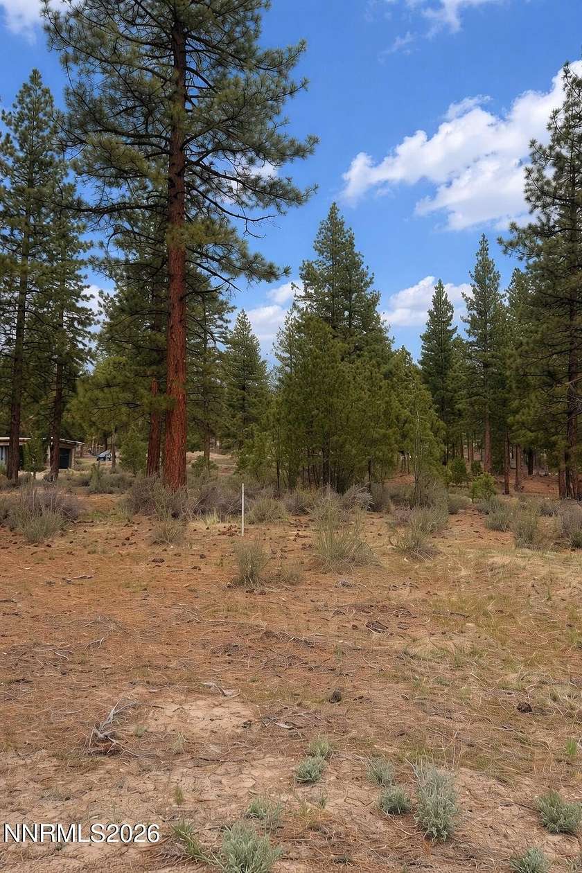 0.5 Acres of Residential Land for Sale in Carson City, Nevada