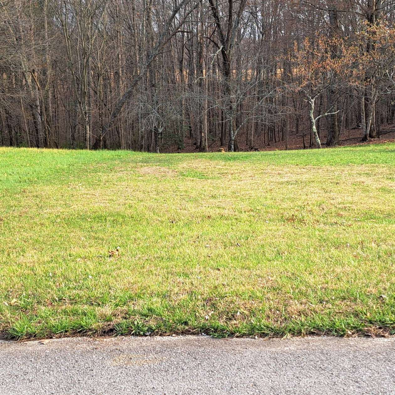 1.2 Acres of Land for Sale in Clarkrange, Tennessee