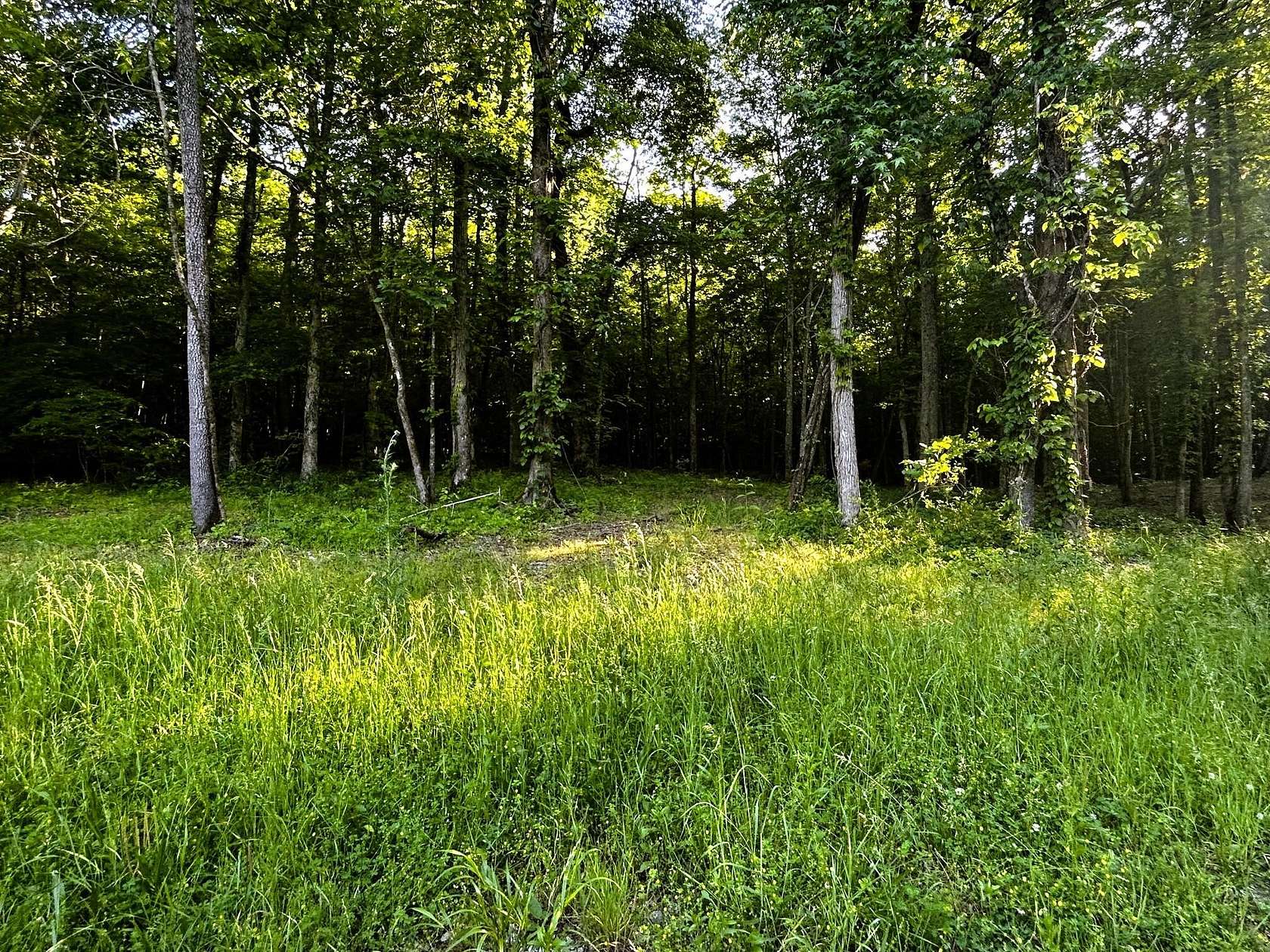 19.3 Acres of Land for Sale in Ten Mile, Tennessee
