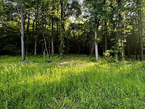 19.3 Acres of Land for Sale in Ten Mile, Tennessee