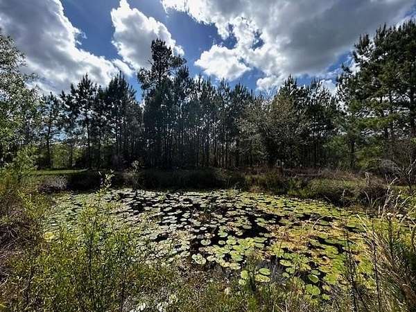 2.35 Acres of Land with Home for Sale in Blountstown, Florida