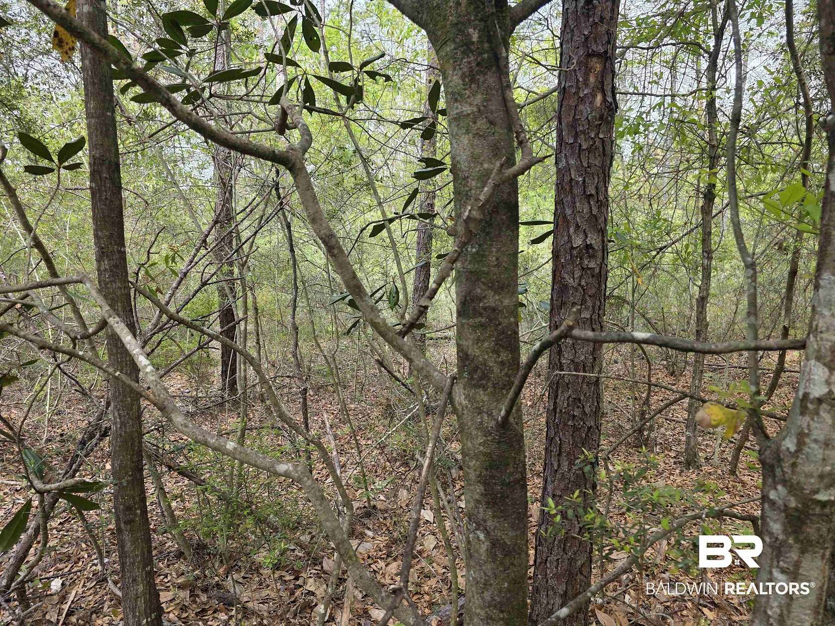 10 Acres of Residential Land for Sale in Bay Minette, Alabama