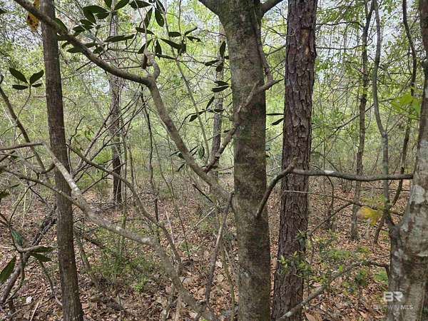 10 Acres of Residential Land for Sale in Bay Minette, Alabama