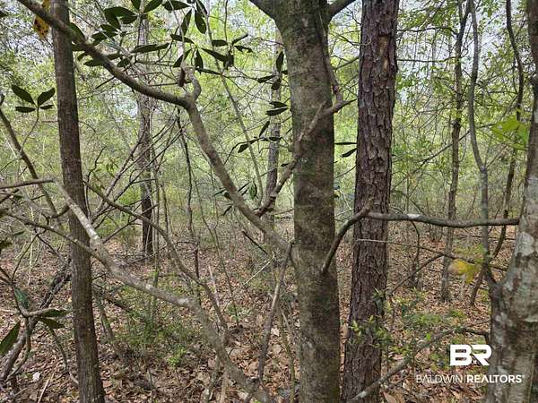 10 Acres of Residential Land for Sale in Bay Minette, Alabama