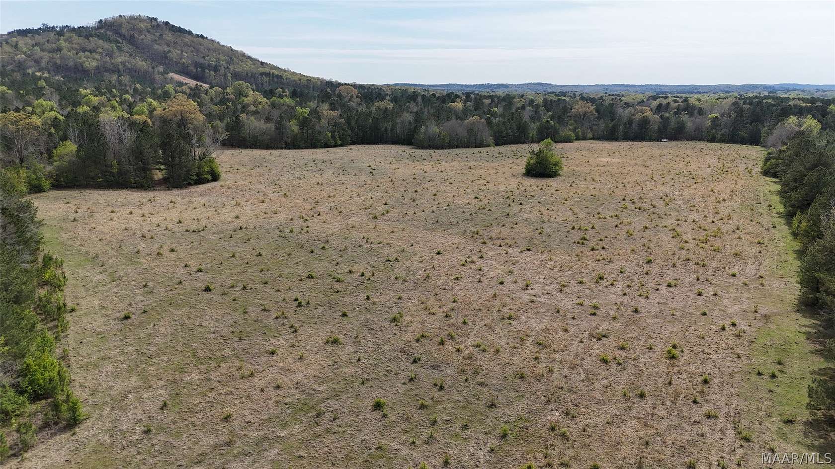 163 Acres of Land for Sale in Fayetteville, Alabama