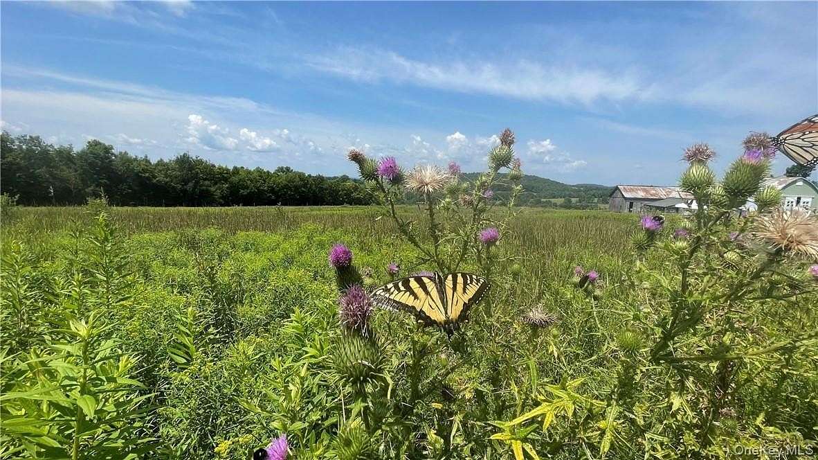 31.5 Acres of Land for Sale in Callicoon, New York