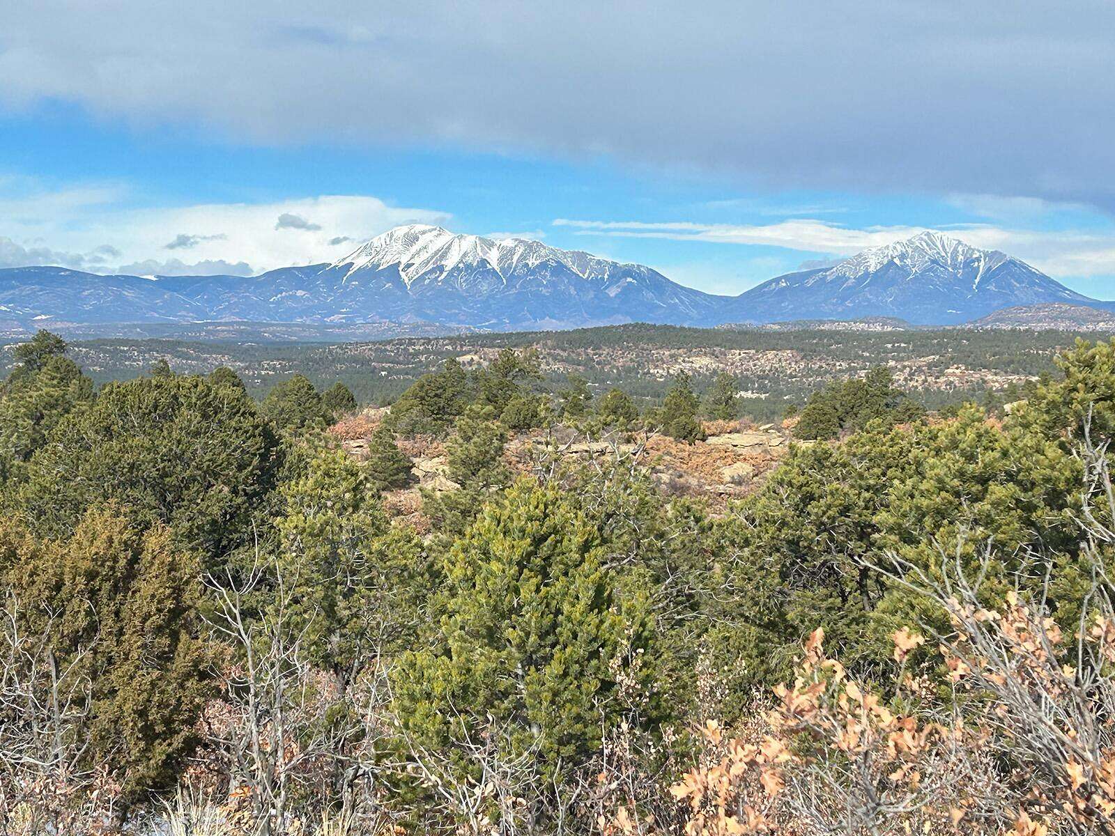 40 Acres of Land for Sale in Weston, Colorado