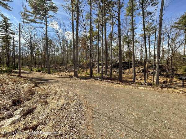 25 Acres of Land for Sale in Marbletown, New York