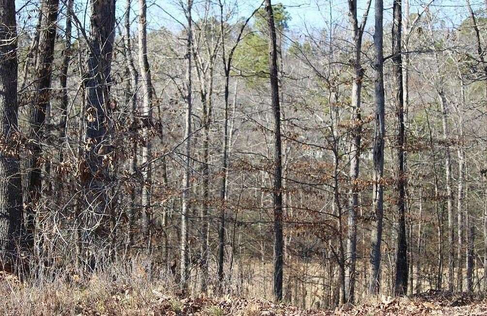 1 Acre of Residential Land for Sale in Hot Springs, Arkansas
