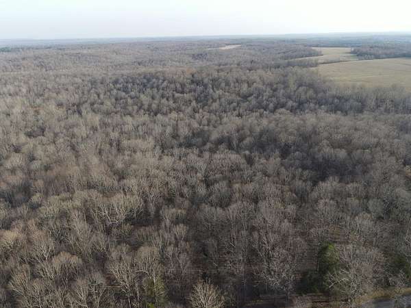 105 Acres of Land for Sale in St. Charles, Kentucky