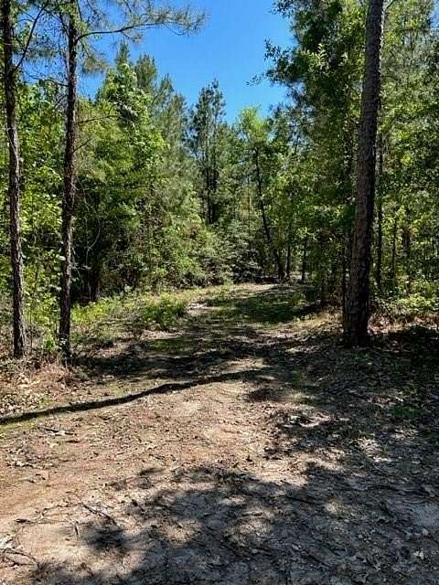 2 Acres of Land for Sale in Broaddus, Texas