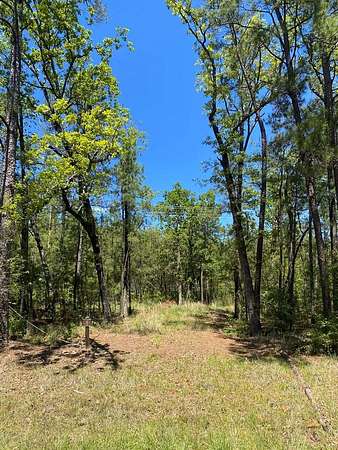 2 Acres of Land for Sale in Broaddus, Texas