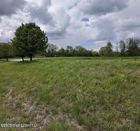 10 Acres of Residential Land for Sale in Byhalia, Mississippi