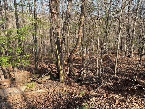0.31 Acres of Residential Land for Sale in Bella Vista, Arkansas