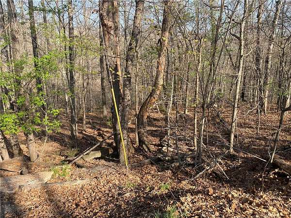 0.31 Acres of Residential Land for Sale in Bella Vista, Arkansas