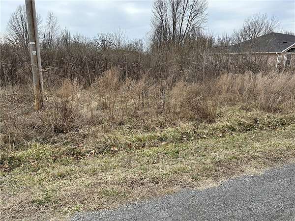 0.26 Acres of Residential Land for Sale in Bella Vista, Arkansas
