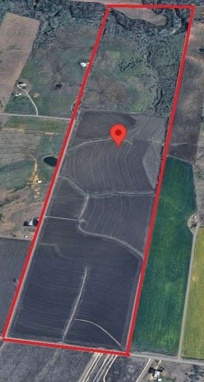 196 Acres of Land for Sale in Taylor, Texas