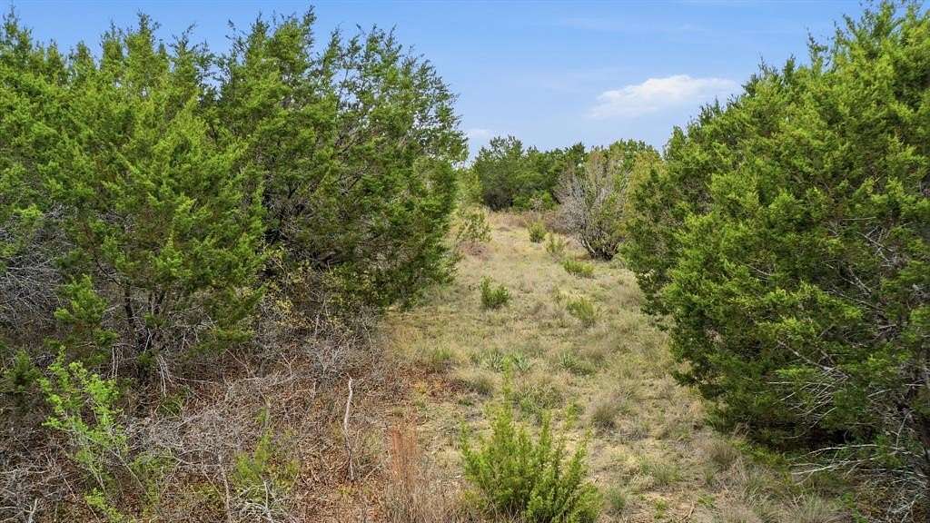 5 Acres of Residential Land for Sale in Bluff Dale, Texas