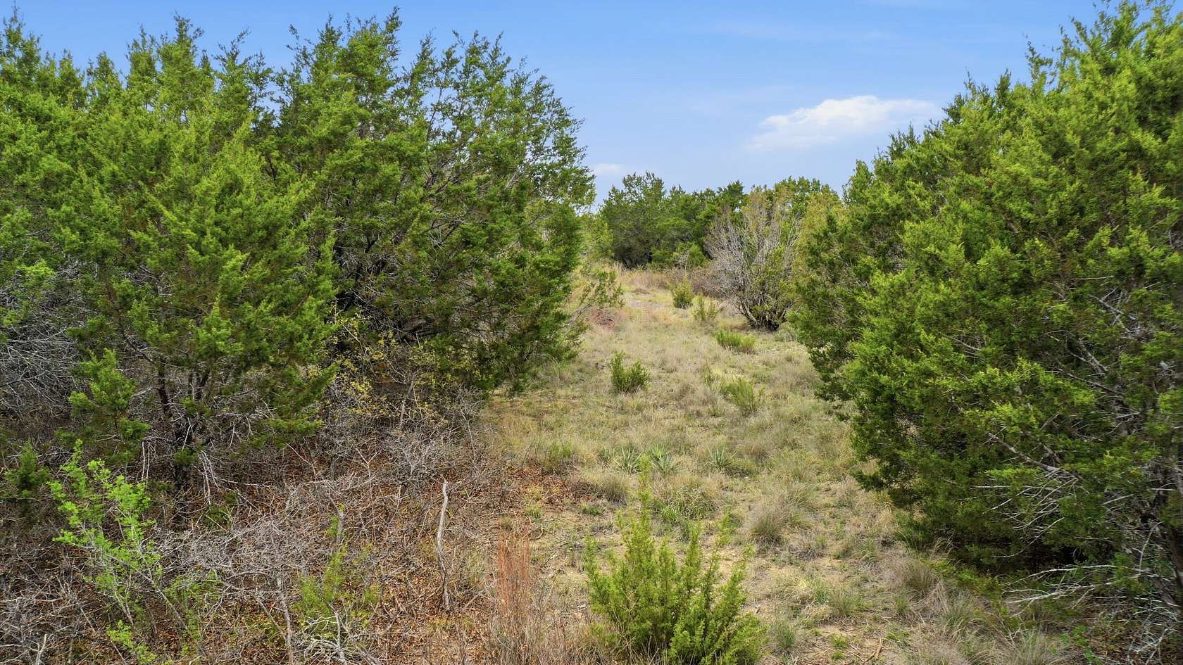 5 Acres of Residential Land for Sale in Bluff Dale, Texas