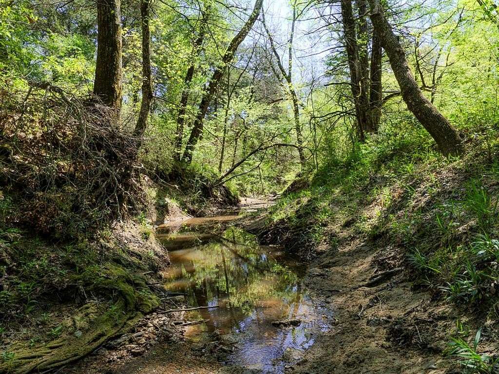 5.33 Acres of Residential Land for Sale in Greenville, Texas