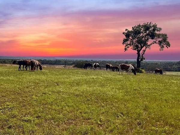 53.7 Acres of Land for Sale in Weatherford, Texas