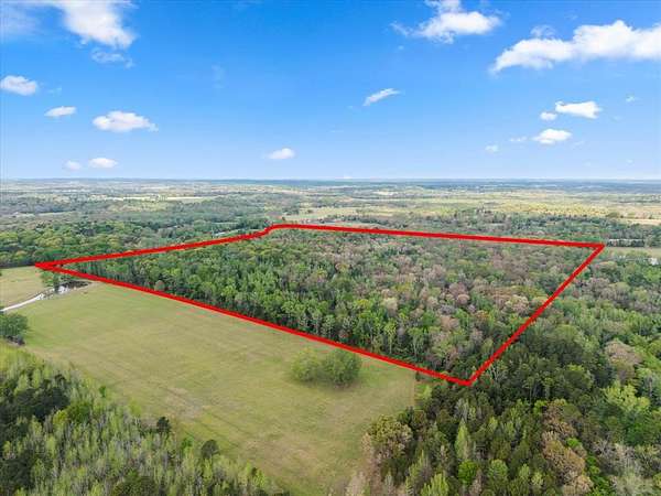 106 Acres of Recreational Land for Sale in Winnsboro, Texas