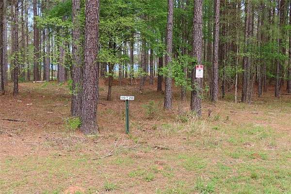 1.37 Acres of Land for Sale in Lewisville, Arkansas