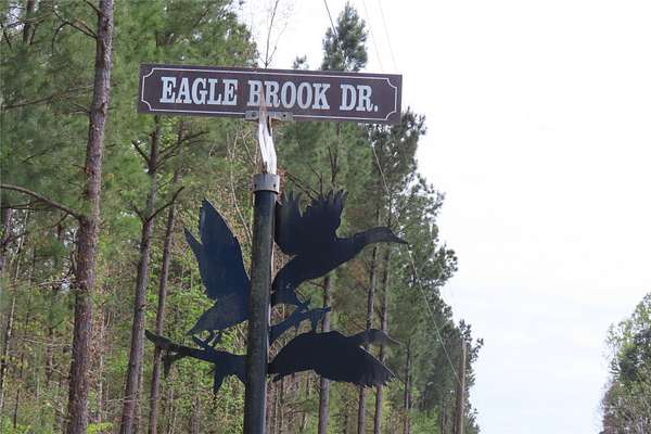 2.37 Acres of Land for Sale in Lewisville, Arkansas