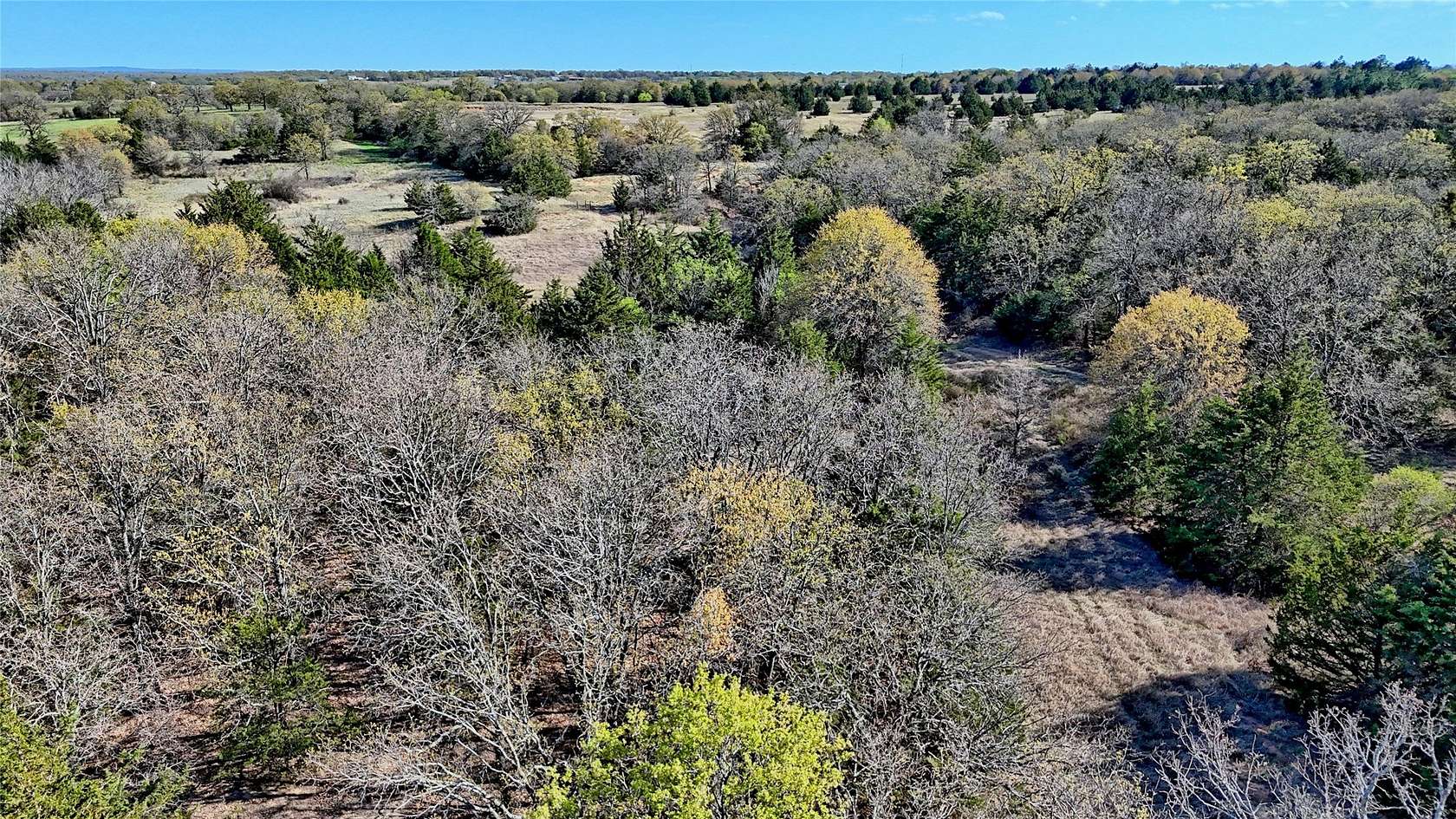 45 Acres of Recreational Land for Sale in Bowie, Texas