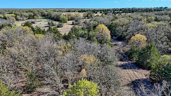 45 Acres of Recreational Land for Sale in Bowie, Texas