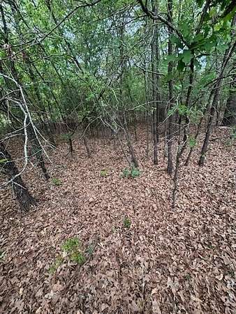 0.69 Acres of Residential Land for Sale in Streetman, Texas