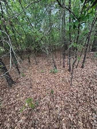 0.69 Acres of Residential Land for Sale in Streetman, Texas