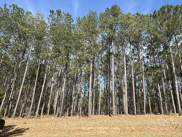 1.13 Acres of Residential Land for Sale in Lincolnton, Georgia