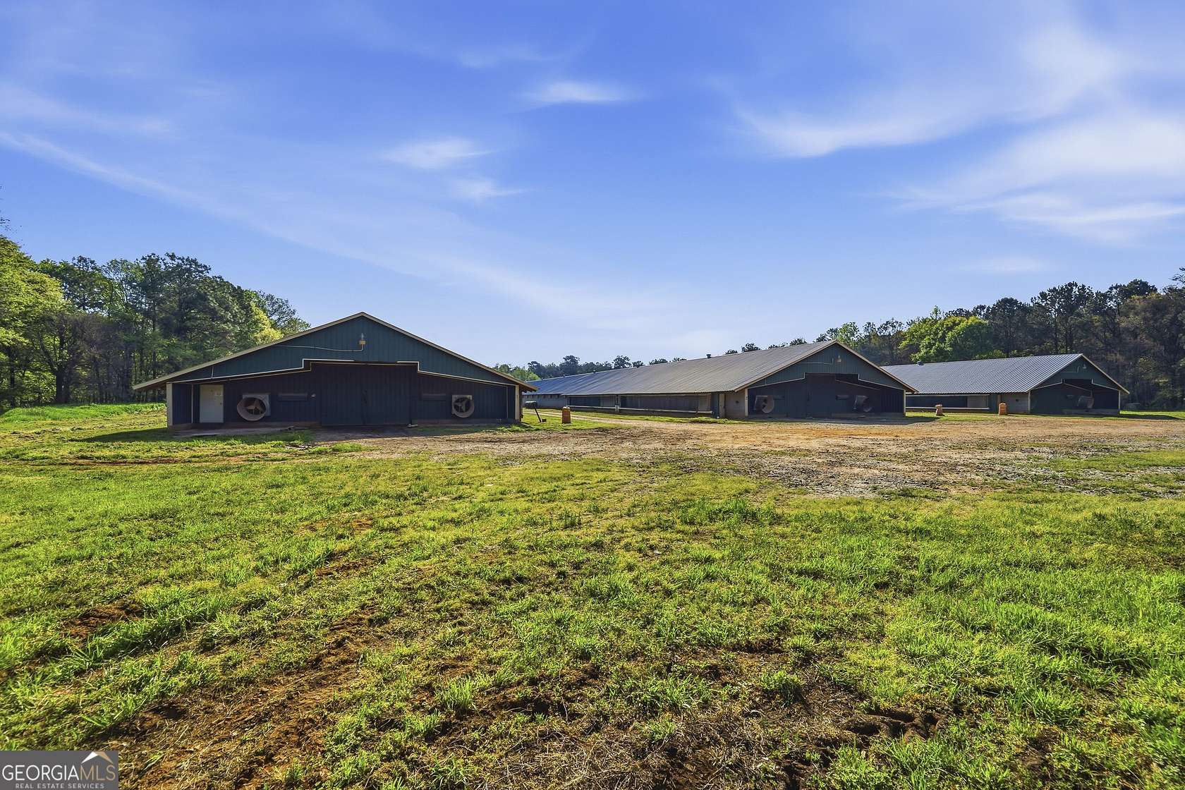 36.7 Acres of Agricultural Land for Sale in Stephens, Georgia