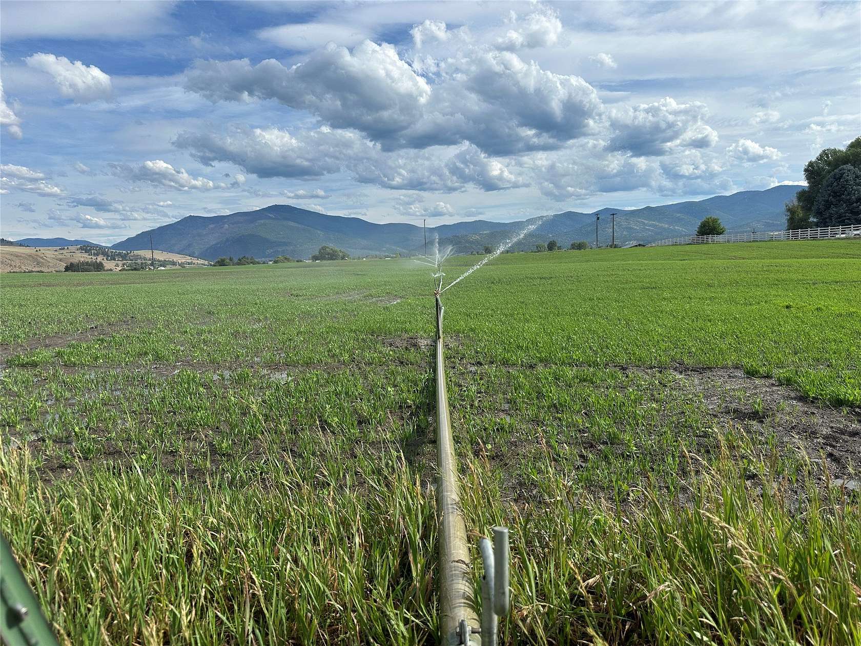 144 Acres of Land for Sale in Plains, Montana